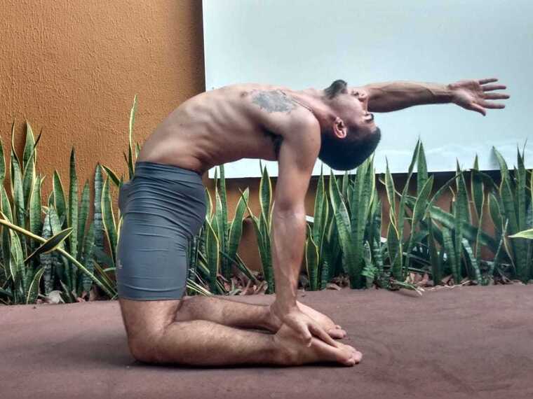 Wolf Masso ๐บ banner image