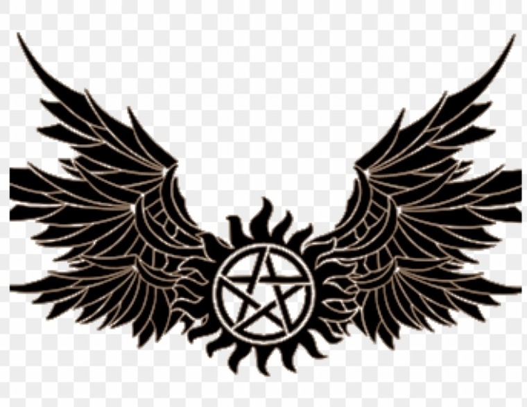 Wolf banner image