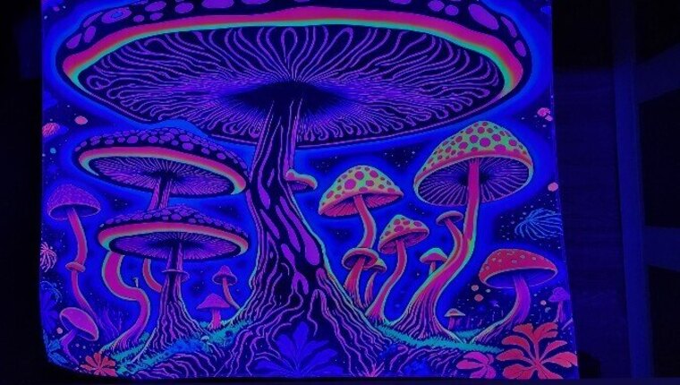 WoodWizard cover image