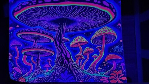 WoodWizard cover image