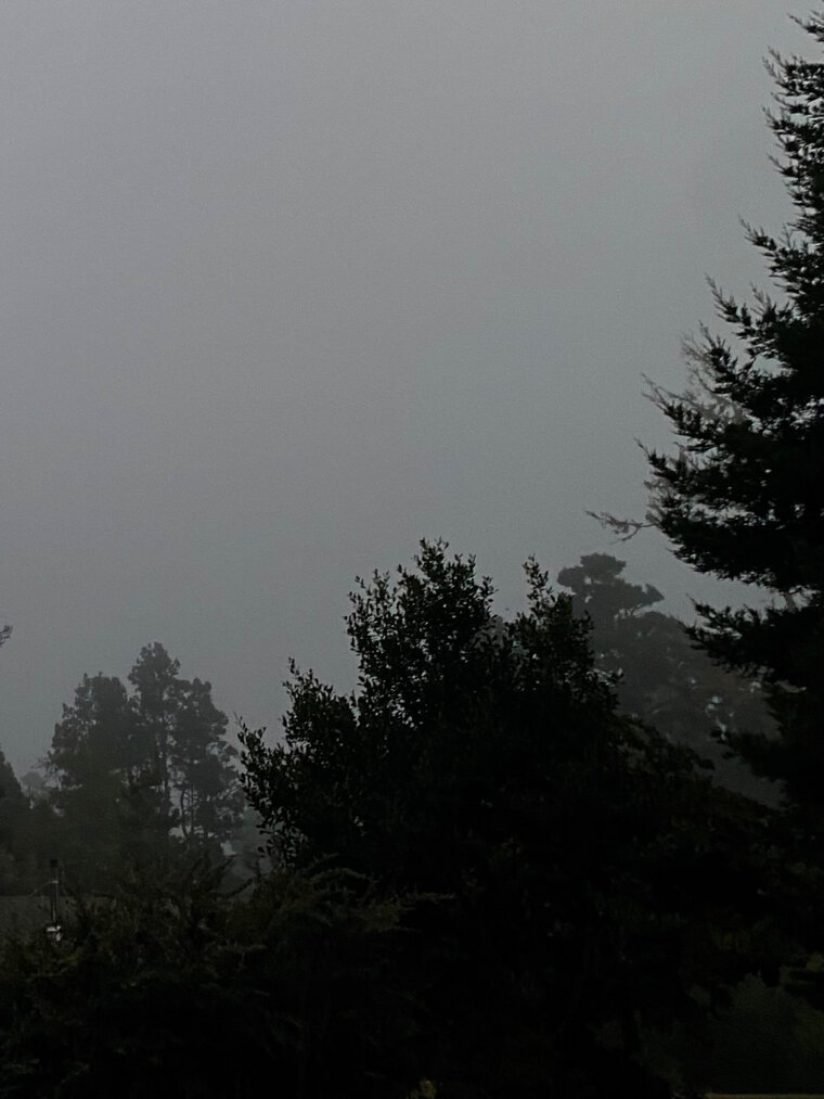 sierra banner image