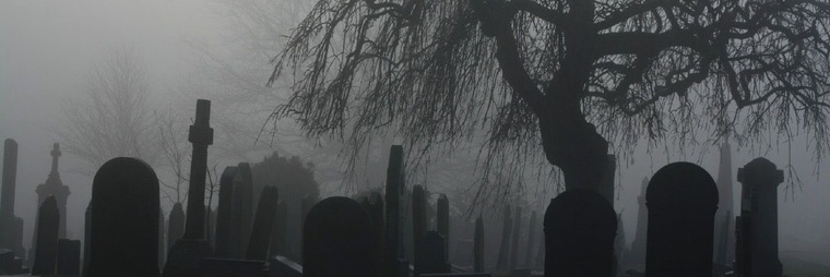 wren banner image