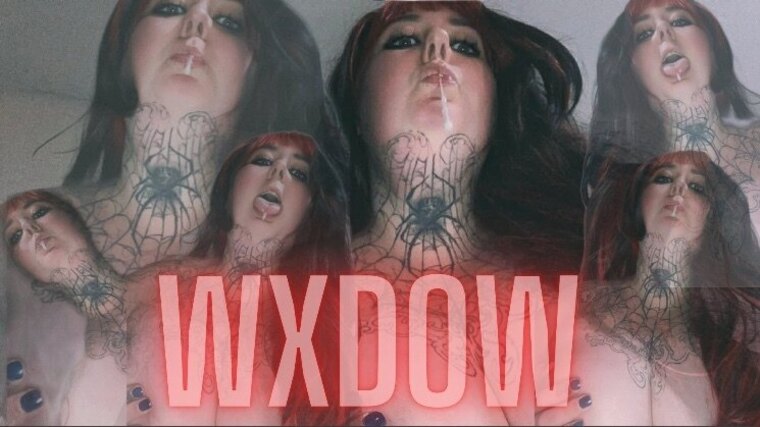 Wxdow cover image