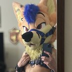 Wyatt Fox avatar