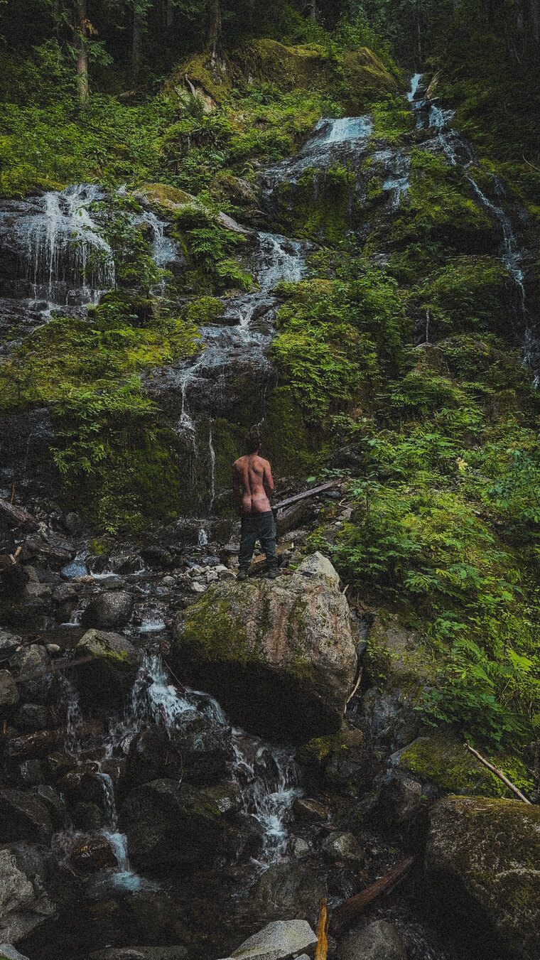 Wyatt Roams banner image