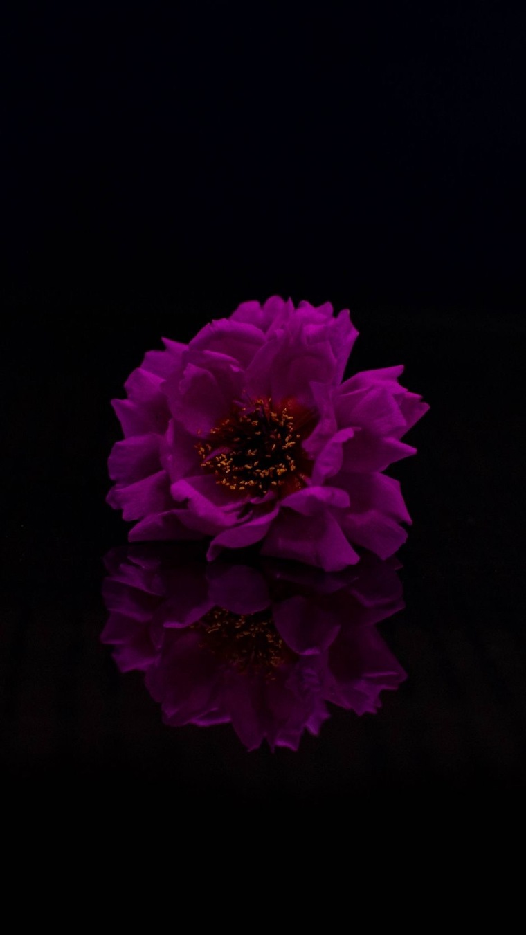 wynter cover image