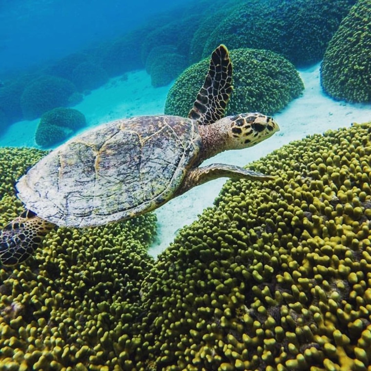 Exotic travel banner image