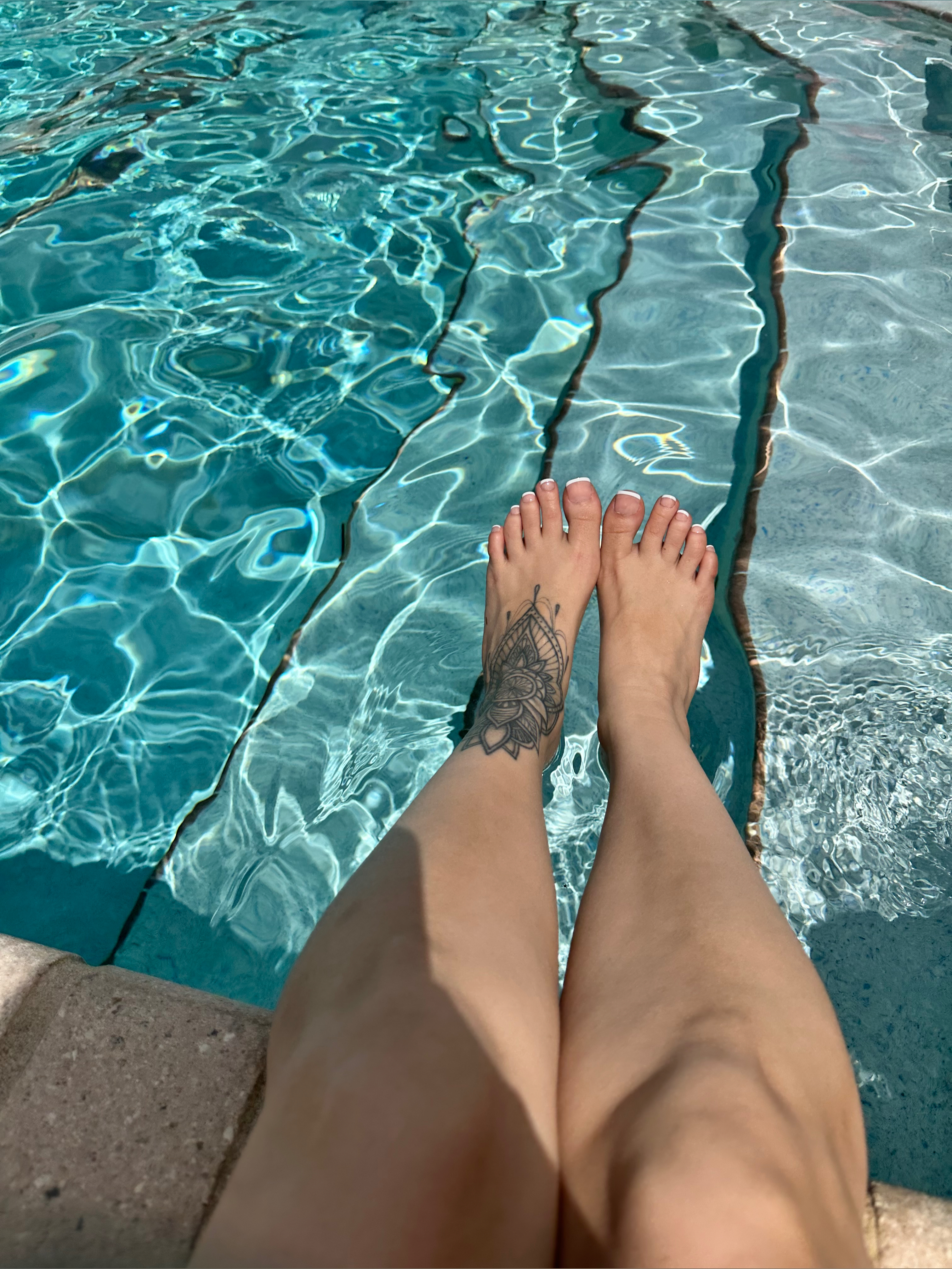 Shady Lady banner image