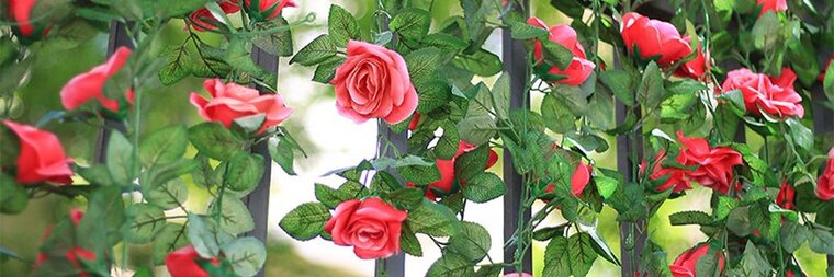 Rose ๐น banner image