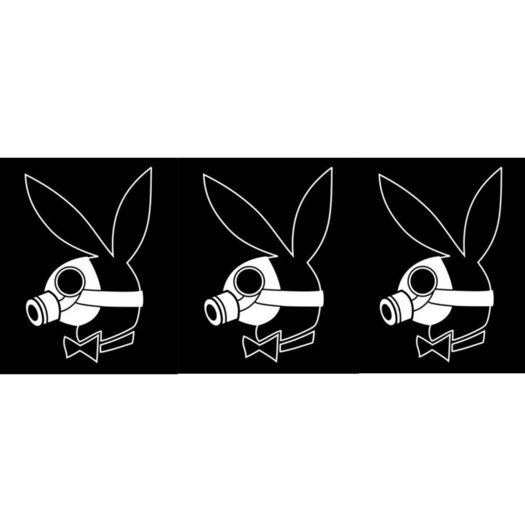 X_AshKitten_x banner image