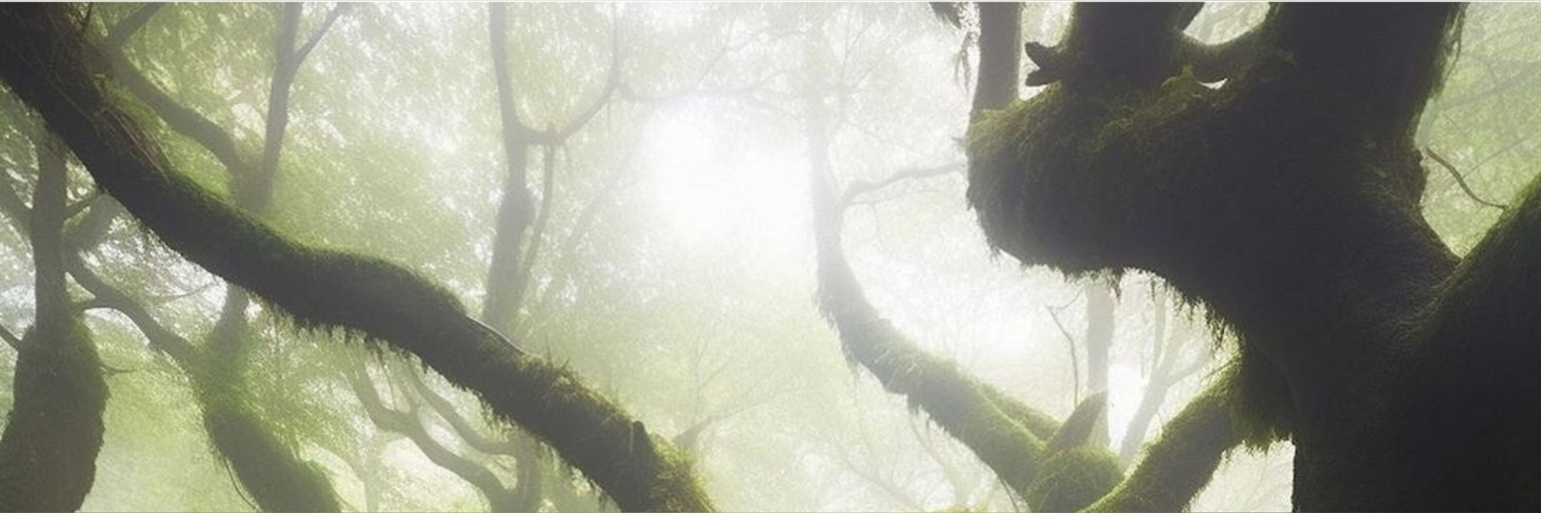 Xae Paradox banner image
