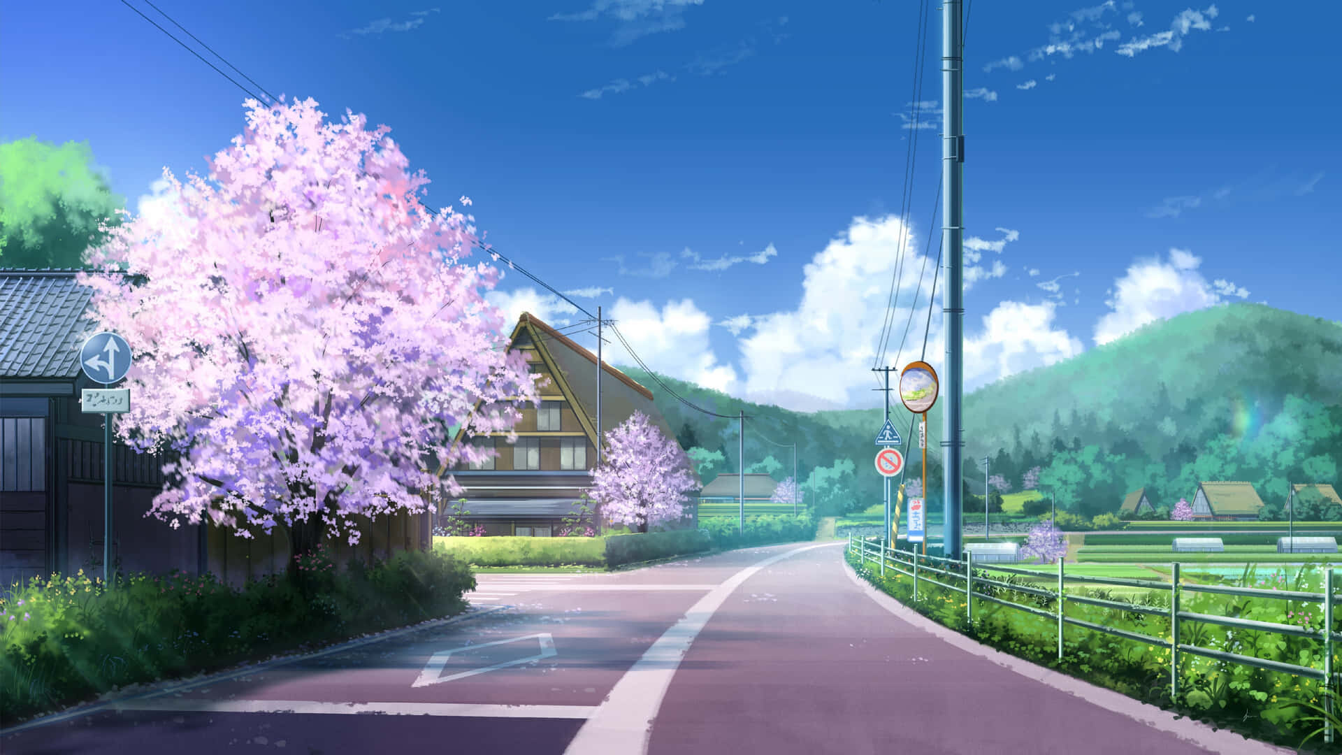 Xailor(Anna)🌸 banner image