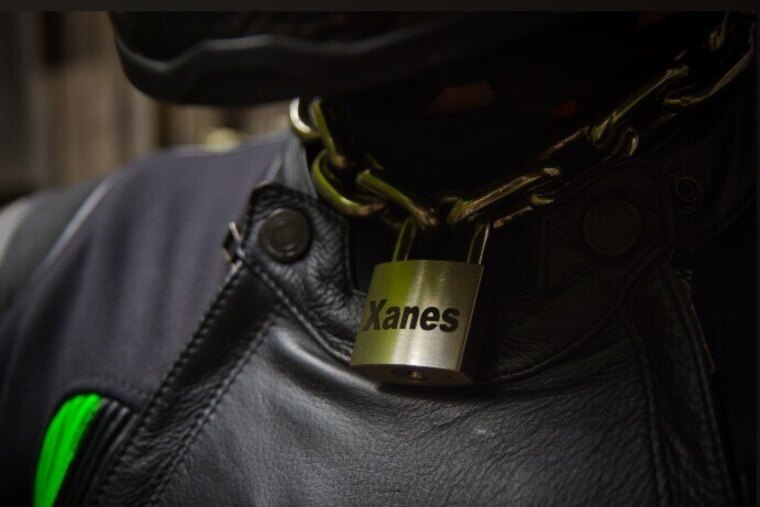 Xanes_Hunter🏳️‍🌈🇩🇪 cover image