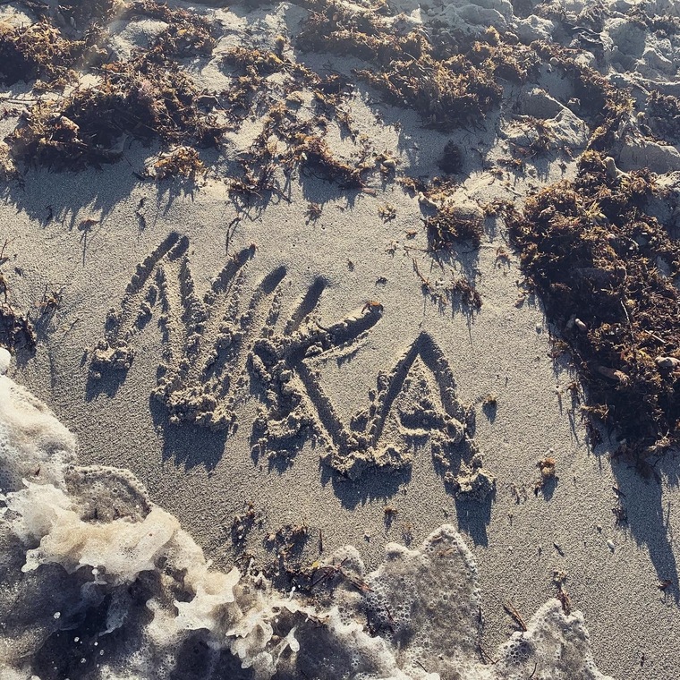 xanikao cover image