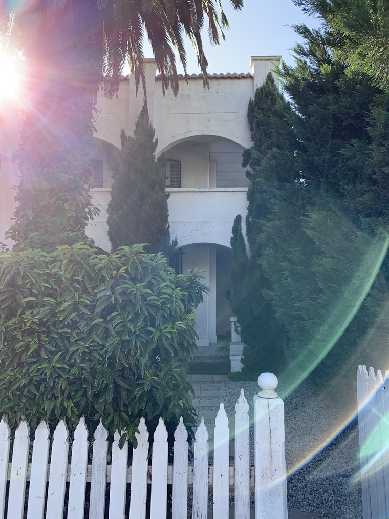 Xavi banner image