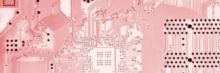 ♡Circuit Bun♡ cover image