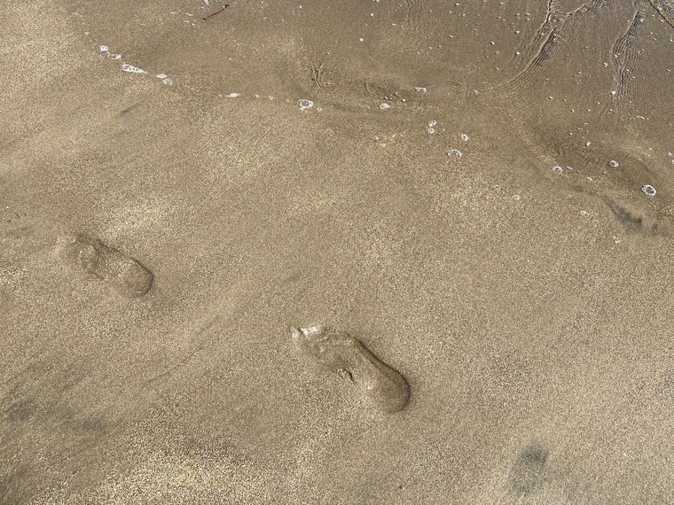 cutefeet banner image
