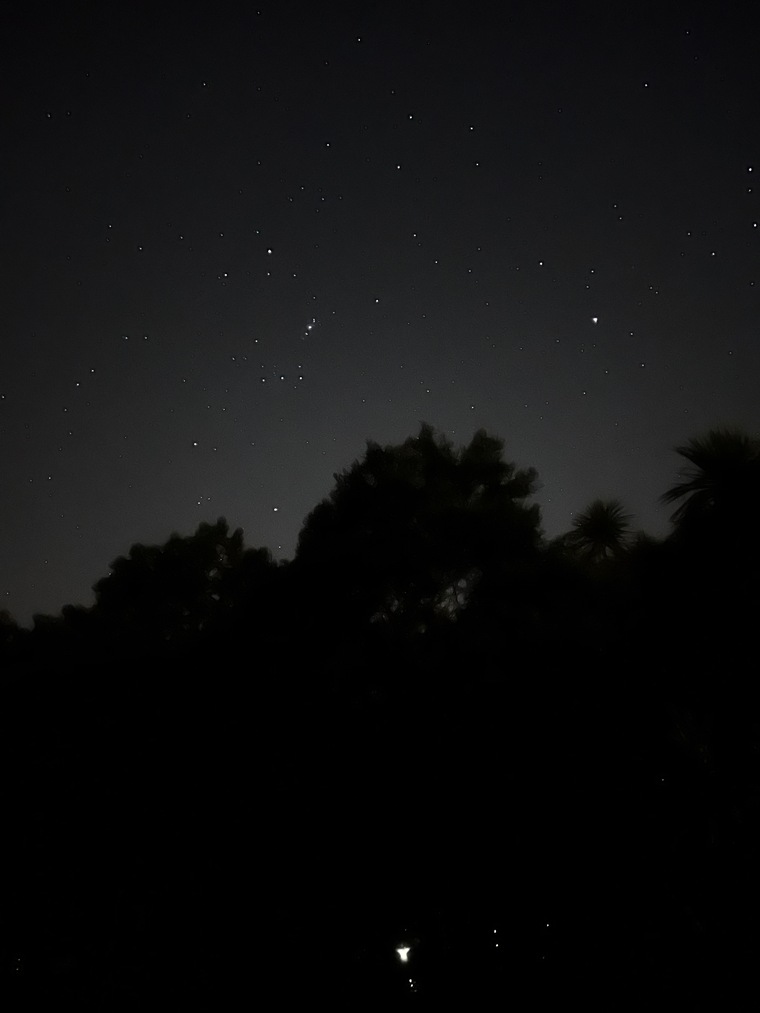 Xelllnz banner image