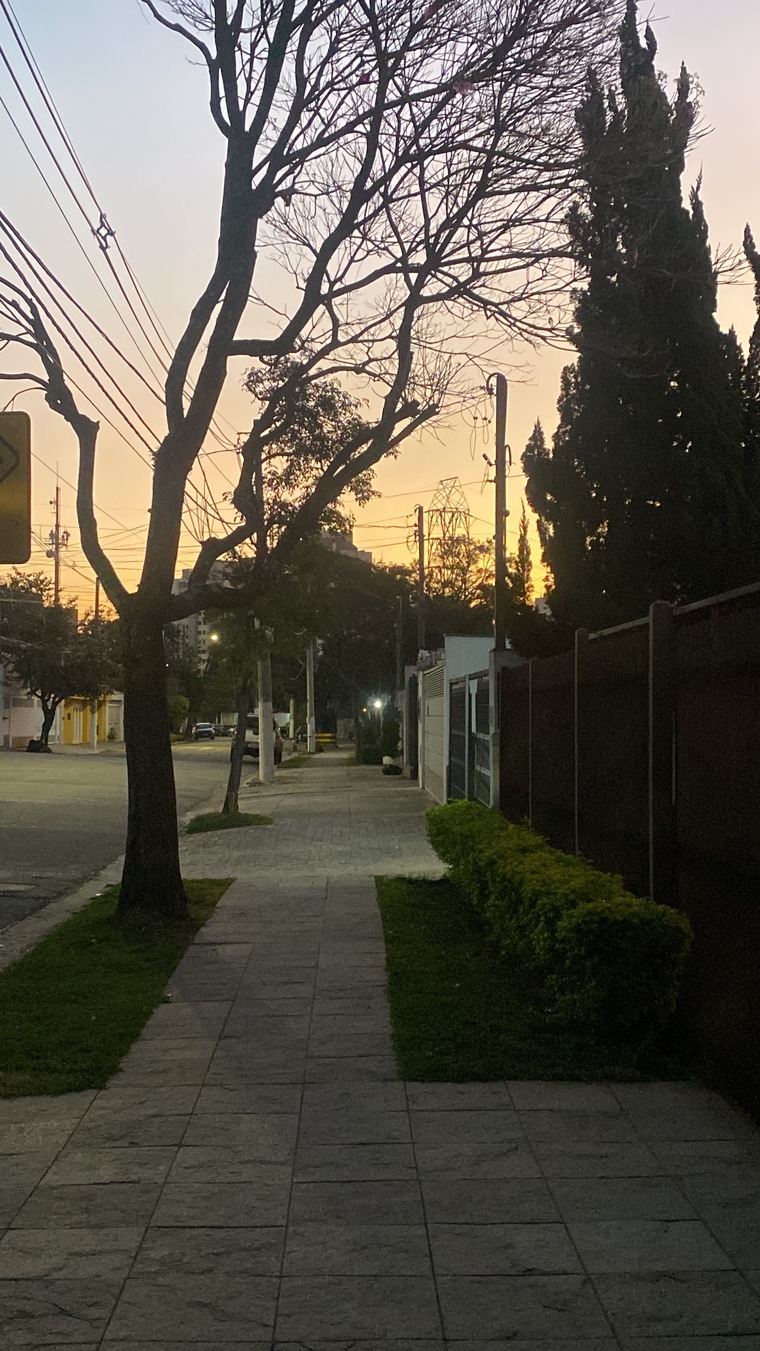 Felipe Leonel cover image