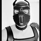 Marko avatar