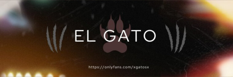 El Gato cover image