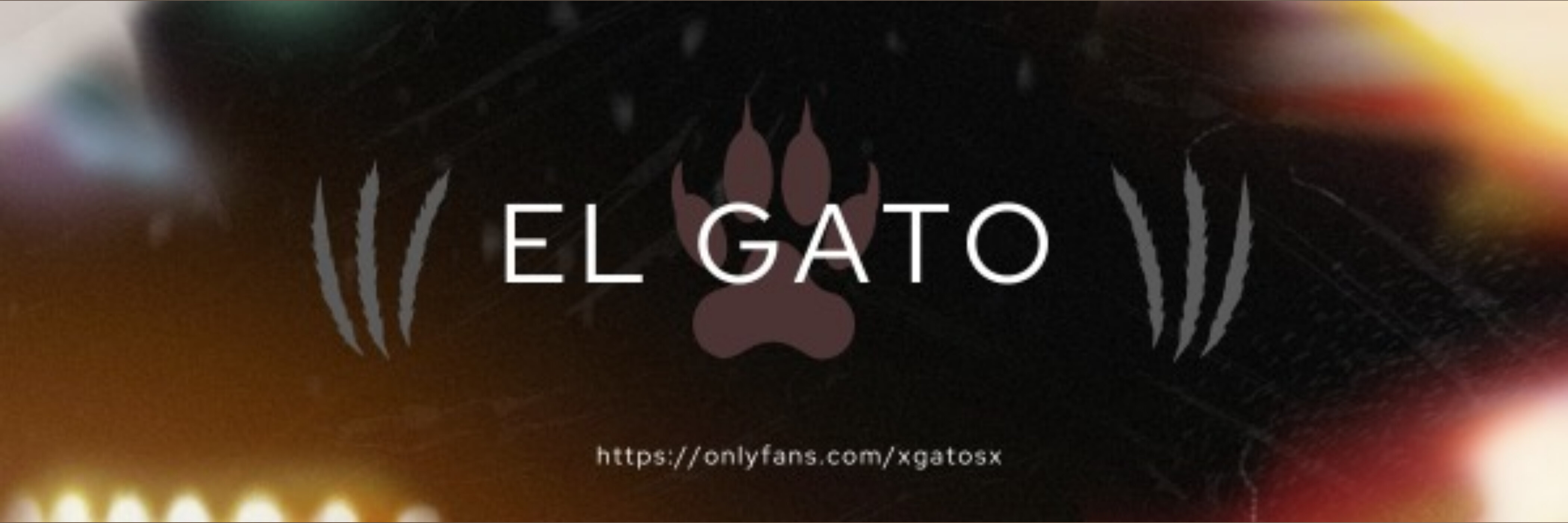 El Gato banner image