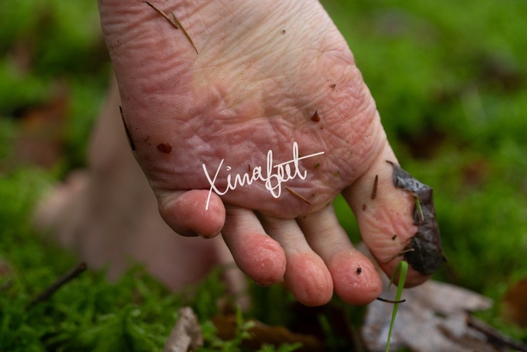 Xina F. [zee-nah] cover image