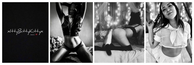 xIttyBittyKittyx banner image