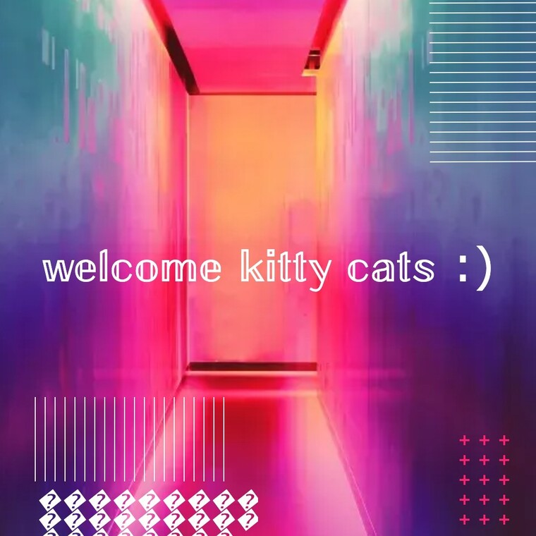 Kitty cover image