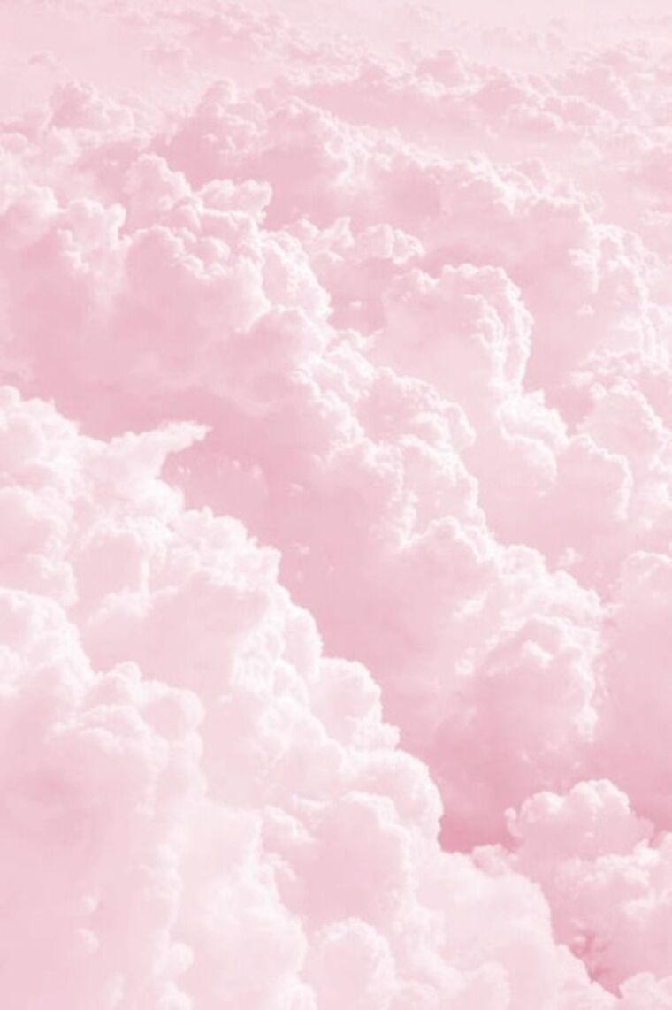 KittyCat cover image
