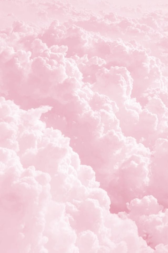 KittyCat banner image