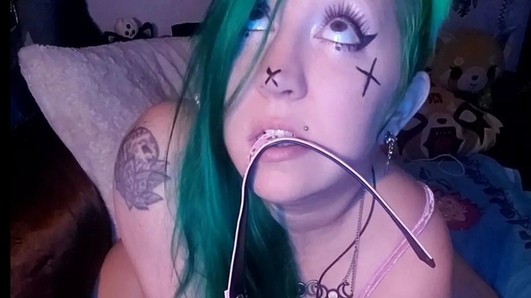 XkittyXkittyX cover image