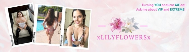 🌸Lily Flowers🌸 banner image