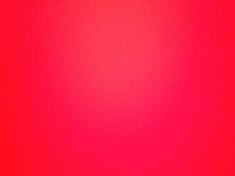 Nine Inch Noah cover image