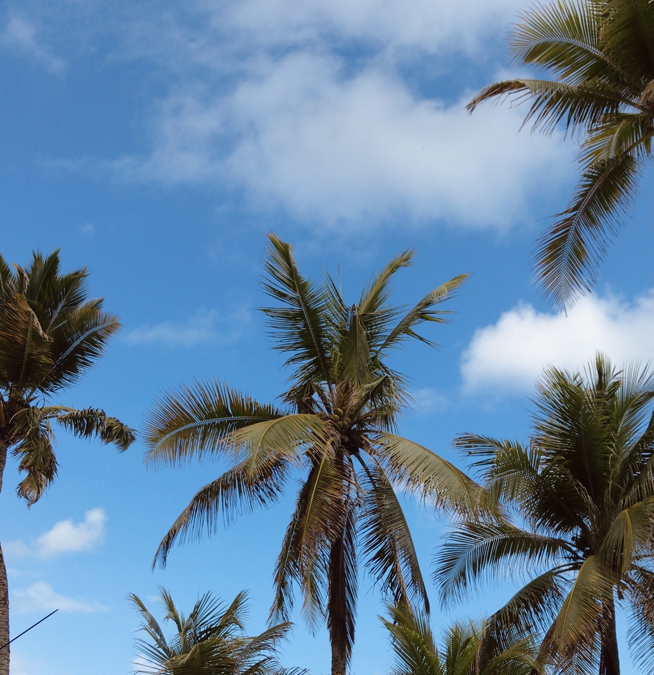 Messinho banner image