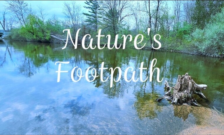 xNaturesFootpathx cover image