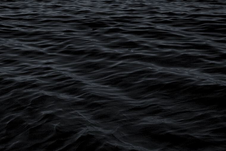 Nicholas banner image