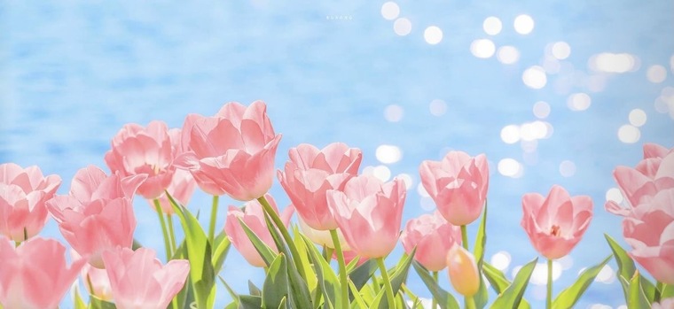 xo•xo•k♡ cover image
