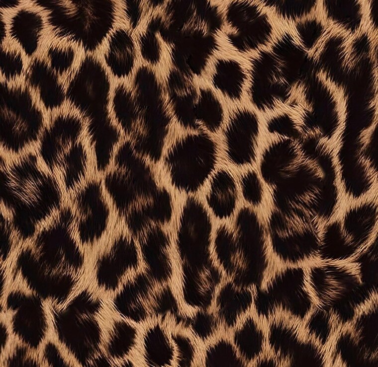 S C A R L E T T banner image