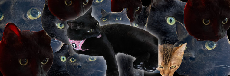 Mama Muru banner image