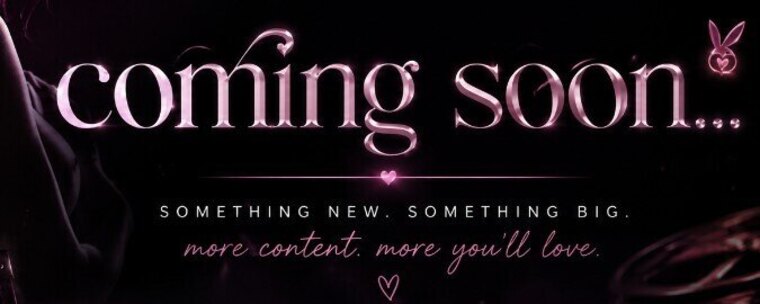 XO Bunny banner image