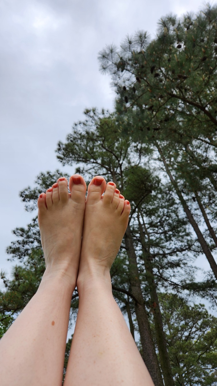 Lynn cover image