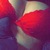 xoseductiveox avatar