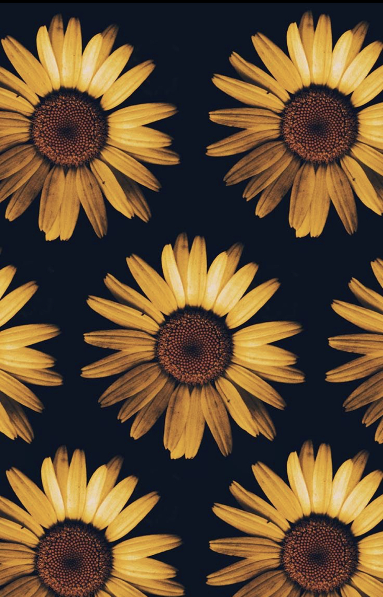 Always satisfied cover image