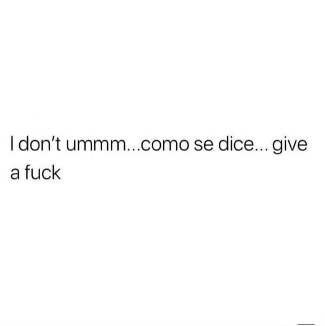 Sasha banner image
