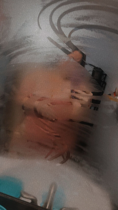 Goddess LifexX cover image