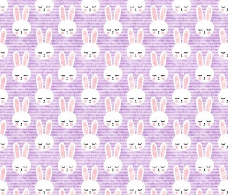 Bunny banner image
