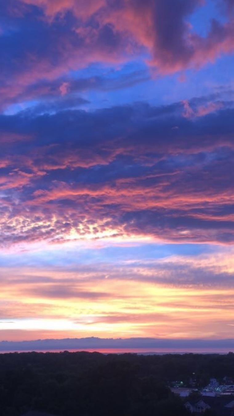 Euphoric cover image