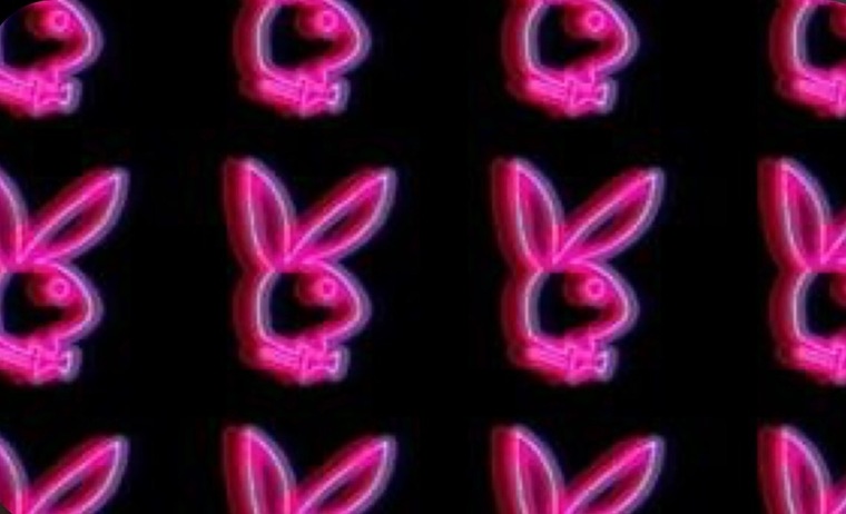 Angel Rose banner image