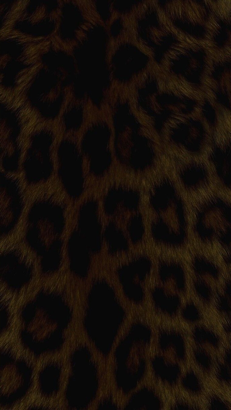 Vanna cover image